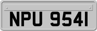 NPU9541