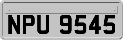 NPU9545