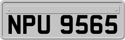 NPU9565