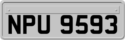 NPU9593