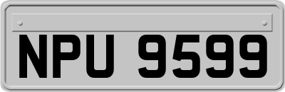 NPU9599