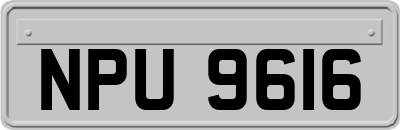 NPU9616