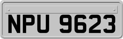NPU9623