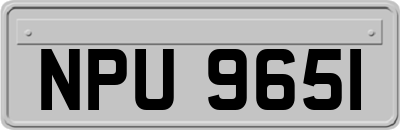 NPU9651