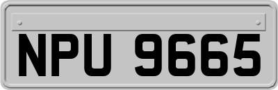 NPU9665