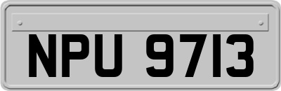NPU9713