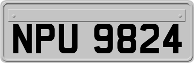 NPU9824