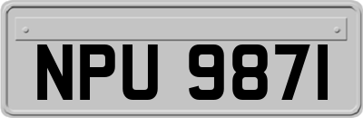NPU9871