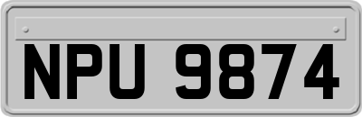 NPU9874