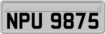 NPU9875