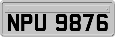 NPU9876