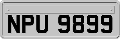 NPU9899