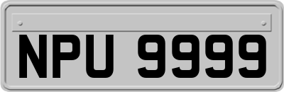 NPU9999