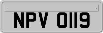 NPV0119