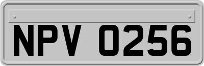 NPV0256