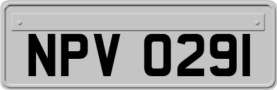 NPV0291