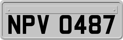 NPV0487