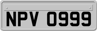 NPV0999