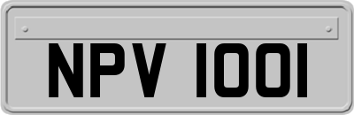 NPV1001