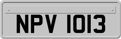 NPV1013