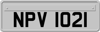 NPV1021