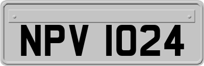 NPV1024