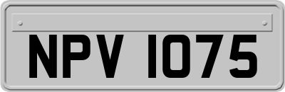NPV1075