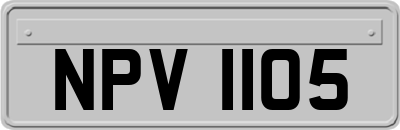 NPV1105
