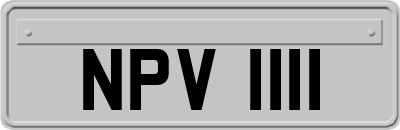 NPV1111