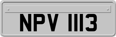 NPV1113