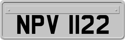 NPV1122