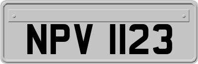 NPV1123