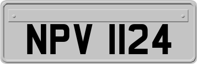 NPV1124