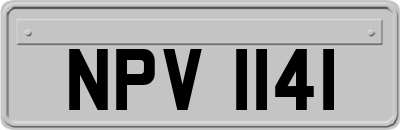 NPV1141