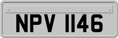 NPV1146