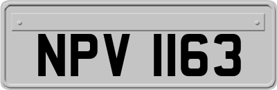 NPV1163