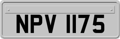 NPV1175