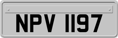 NPV1197