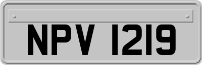NPV1219
