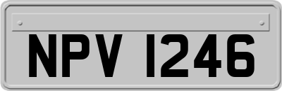 NPV1246