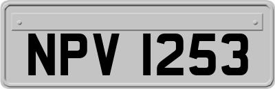 NPV1253