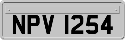 NPV1254