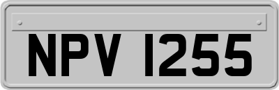 NPV1255
