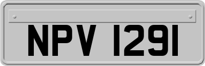 NPV1291