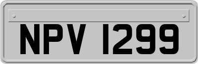 NPV1299