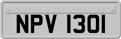 NPV1301