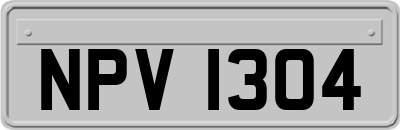 NPV1304