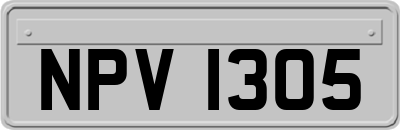 NPV1305