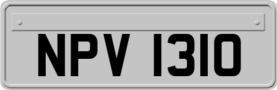 NPV1310