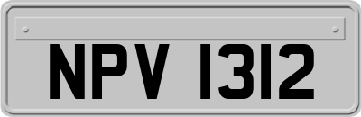 NPV1312